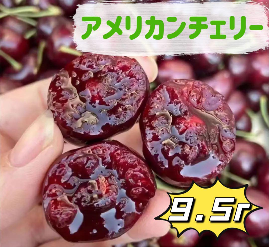 激安‼️9.5R アメリカンチェリー チェリー さくらんぼ 樱桃