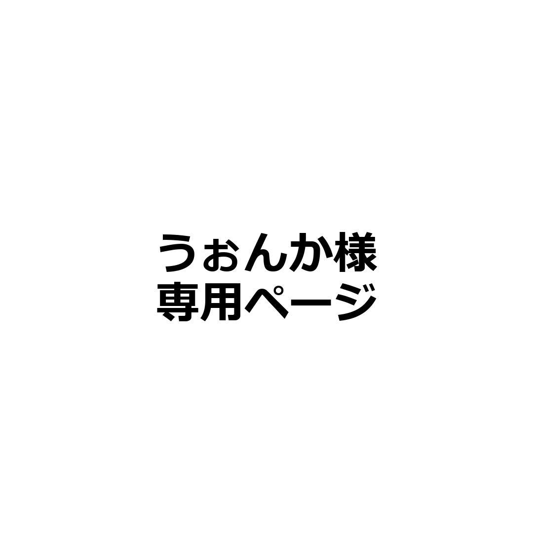 うぉんか様専用ページ_32枚_ヒスイビリリダマ
