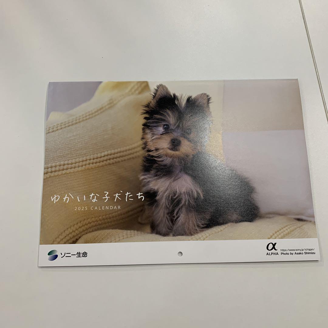 新品・未使用】2025年カレンダー2点セット ゆかいな子犬たち