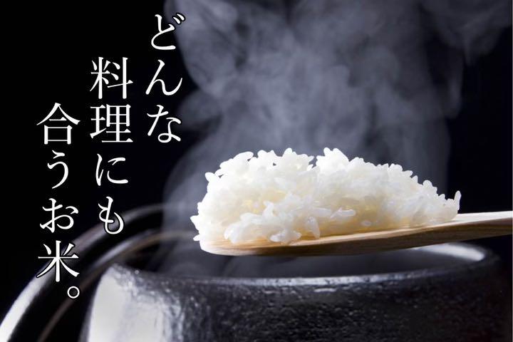 即納】 お米 10キロ コシヒカリ 精米 白米 新米 www.anavara.com 即納】 お米 10キロ コシヒカリ 精米 白米 新米 www.anavara.com