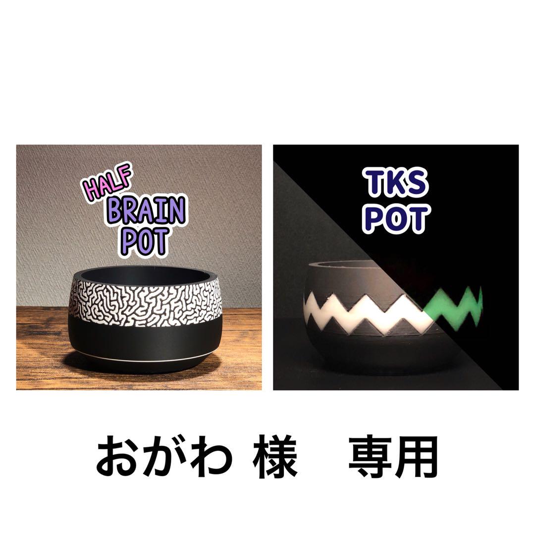 おがわ 