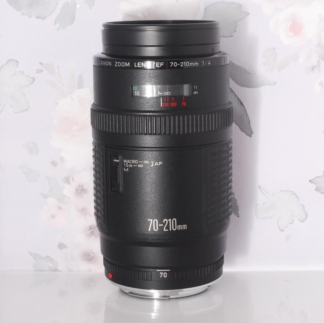EOS 6D