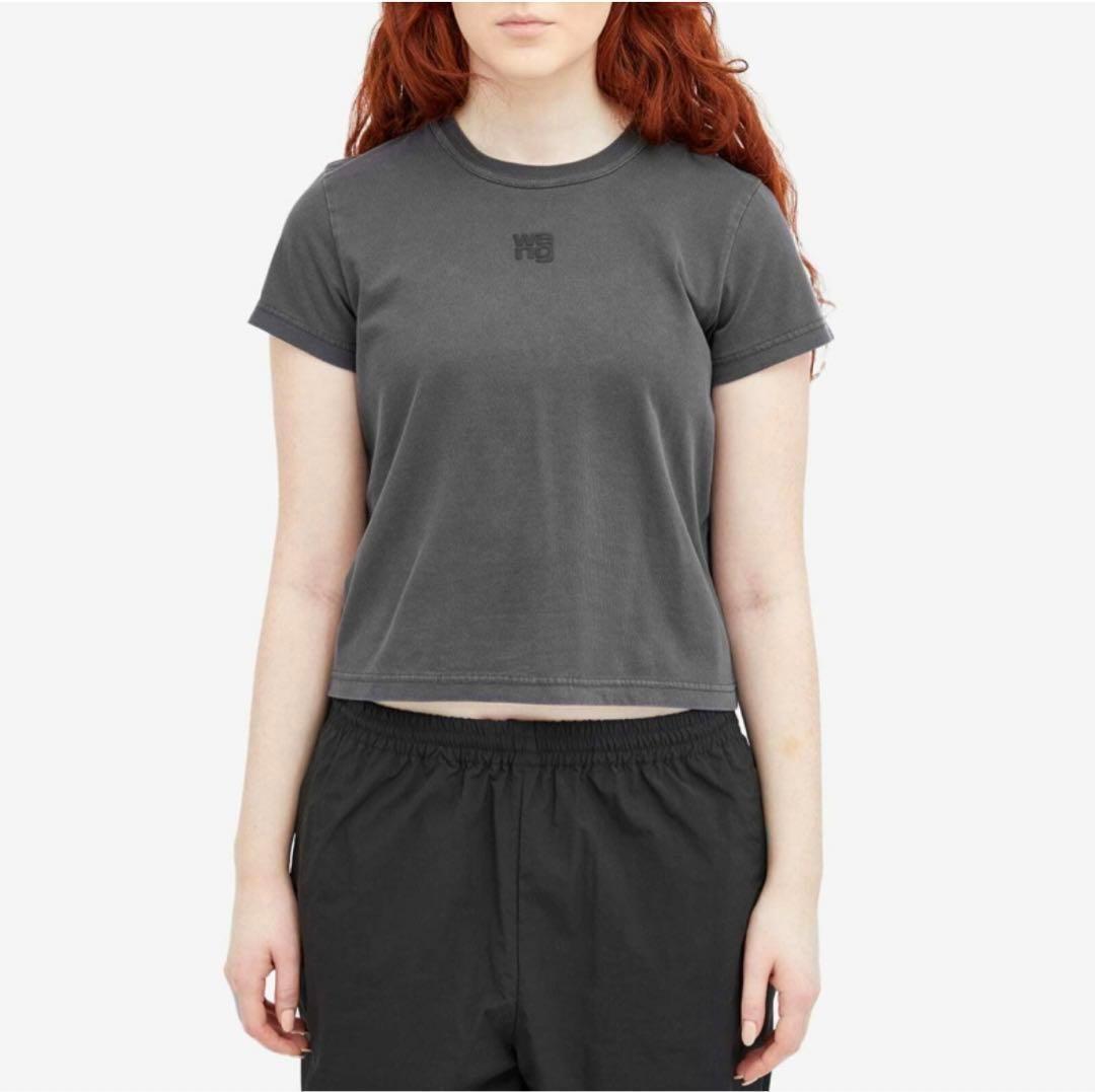 新品未使用正規品 アレキサンダーワン ロゴ　Tシャツ