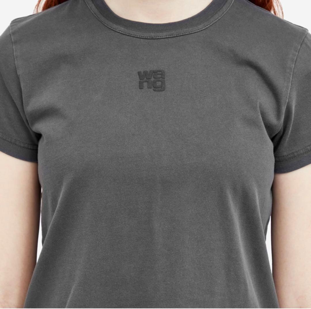 新品未使用正規品 アレキサンダーワン ロゴ　Tシャツ