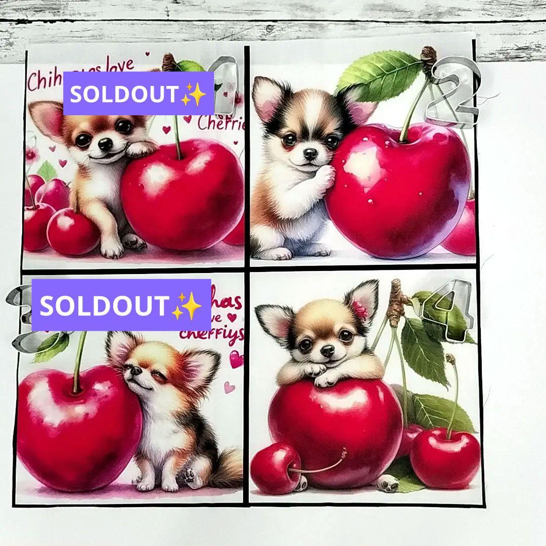 Cherryな チワワちゃん オーダー受付ページ NEXPOTALLINN_EU