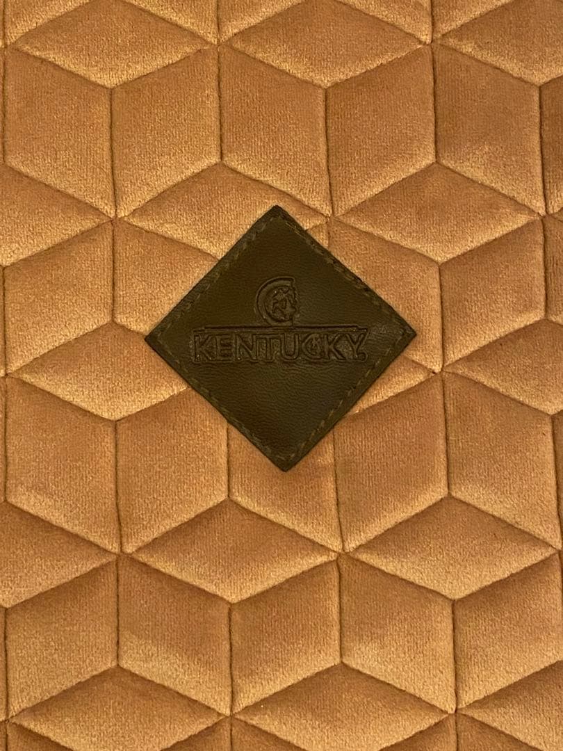 ケンタッキー KENTUCKY サドルクロス ゼッケン ベルベット - メルカリ