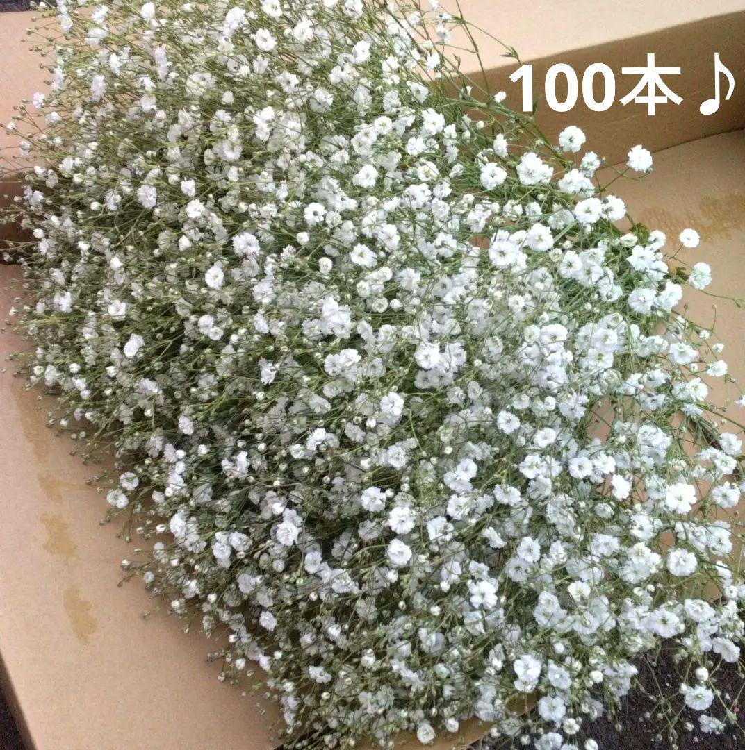 専用です♪