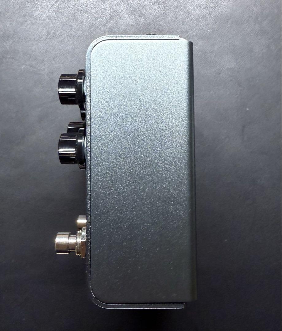 ギター Strymon El Capistan V2 Tape Echo