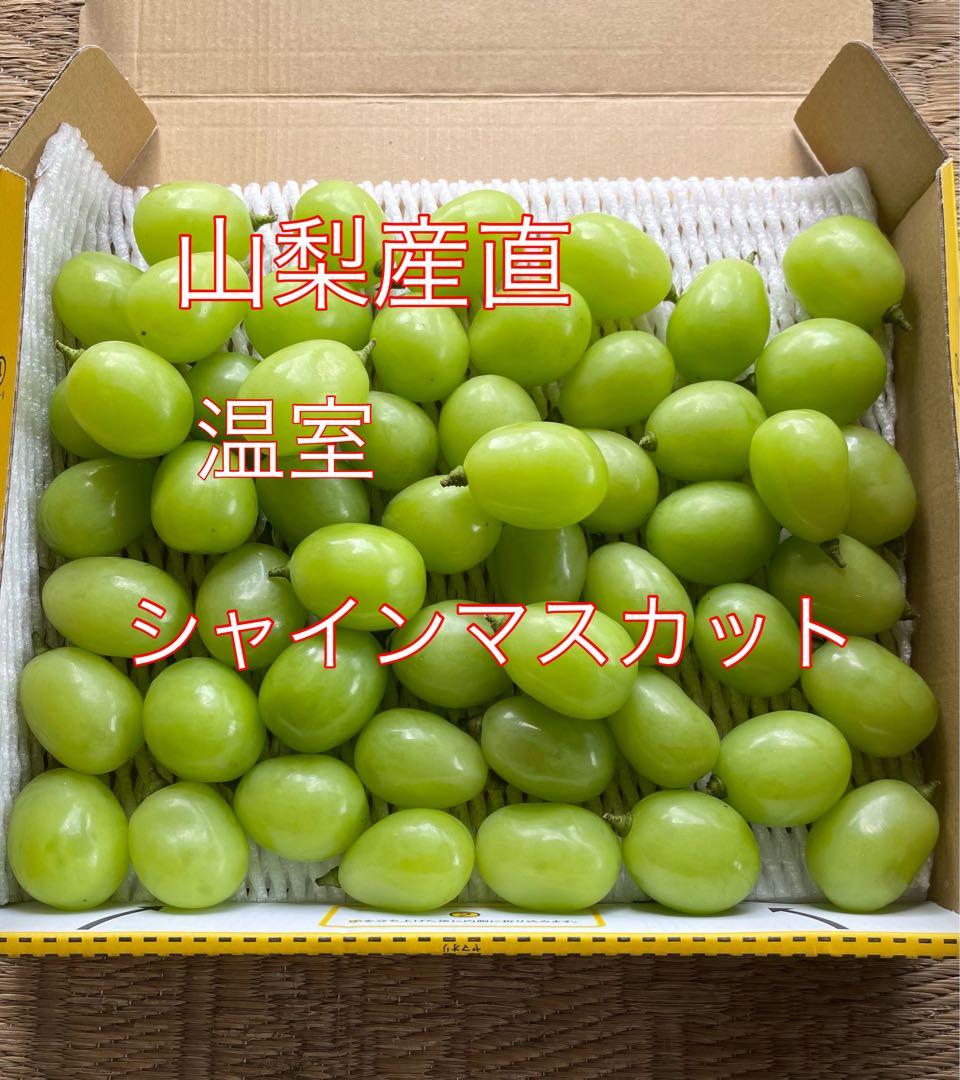 限定製作】 山梨産直 温室シャインマスカット粒 果物 | www.eliomotors.com