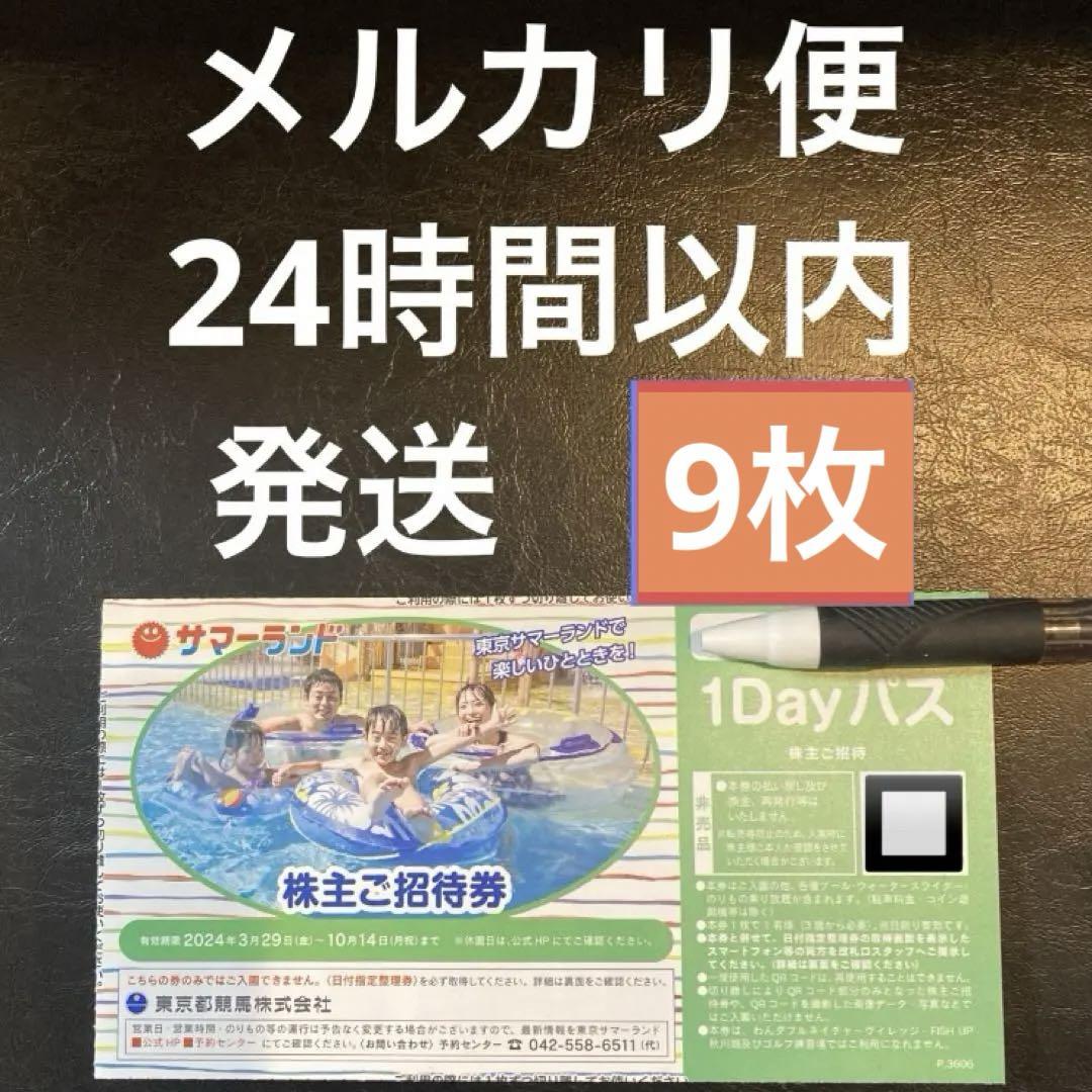サマーランド 株主優待 夏 9枚 B