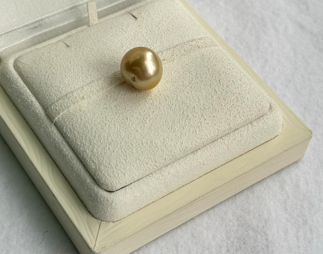 驚きの安さ ゴールデンパール 南洋真珠 白蝶 ゴールド穴無 大真珠 13-14.5mm アクセサリー