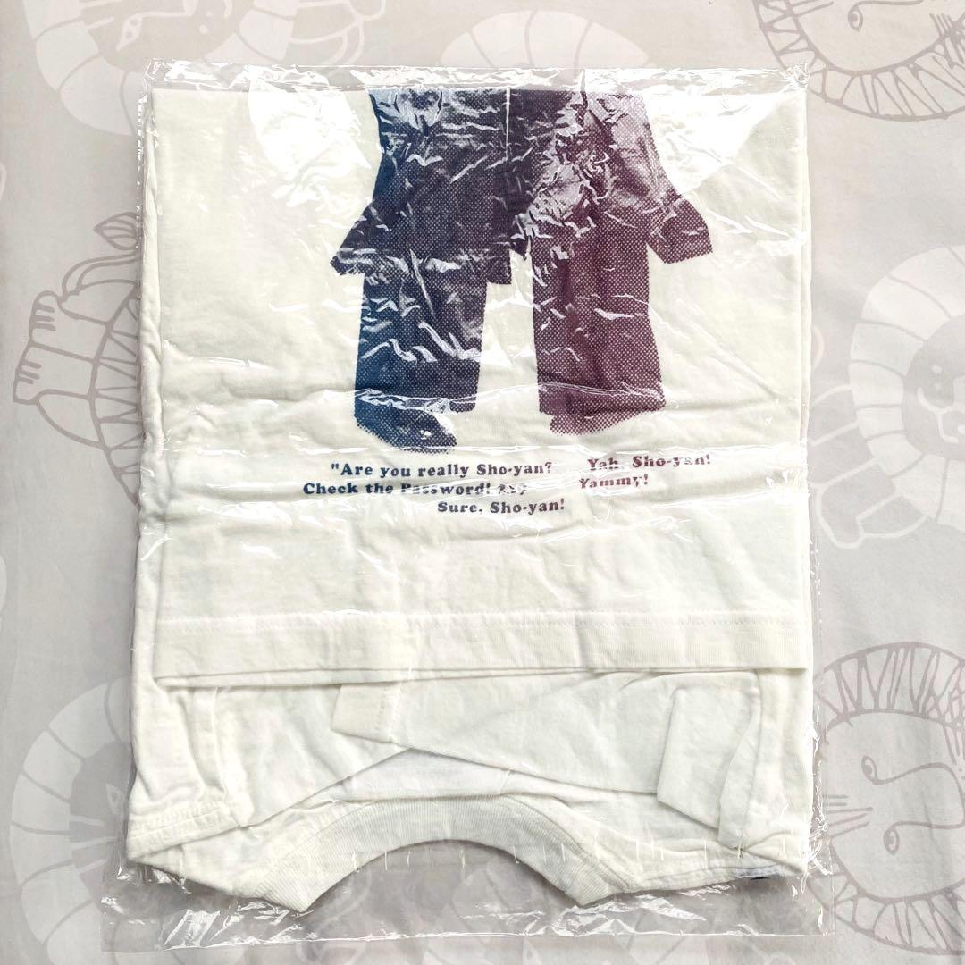氣志團 アンダーカバー ヒステリックグラマー コラボ Tシャツ S