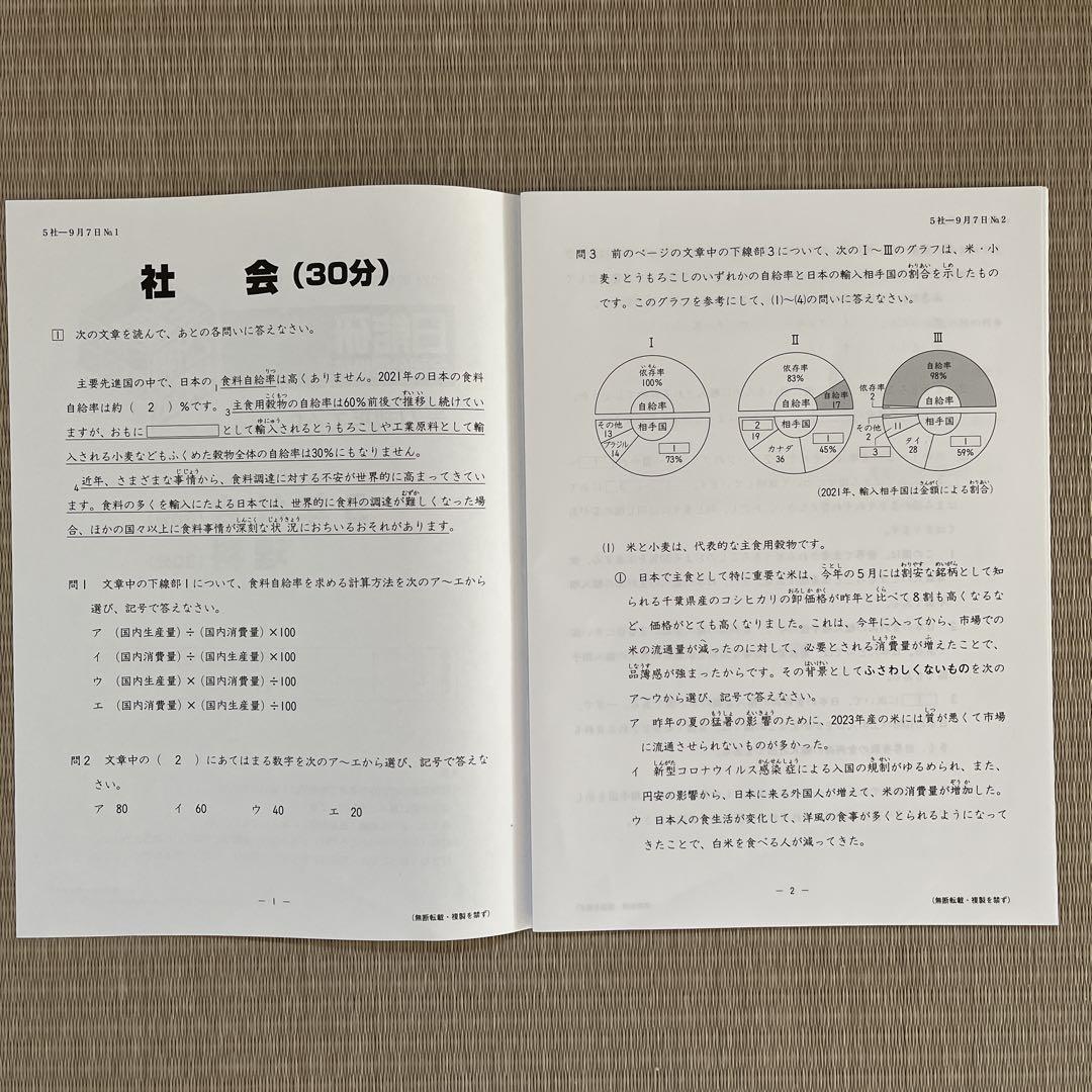 日能研　2024年度　５年生　公開模試　9回分　２科目　問題用紙　解答解説 日能研 2024年度 5年生 公開模試 9回分 2科目 問題用紙 解答解説