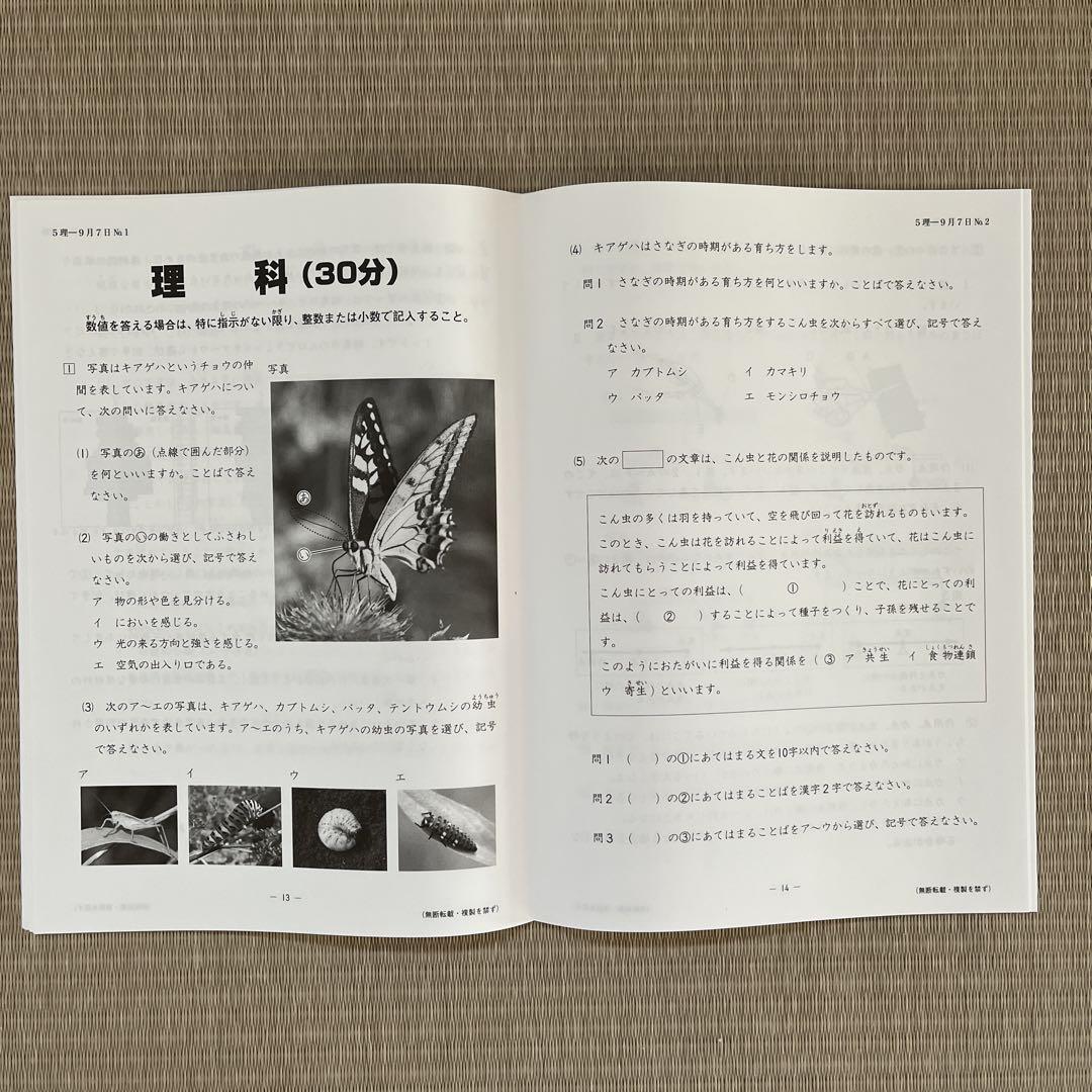 【新品】 日能研 2024年度 5年 テスト 1年分 書き込み無し 2024❗️日能研5年 全国公開模試 実力判定テスト 5年 社会 理科