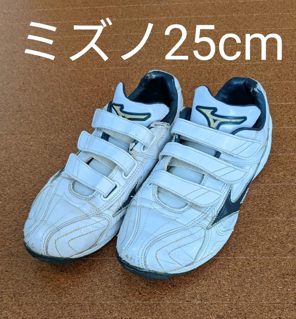 ミズノ野球トレーニングシューズ25cm