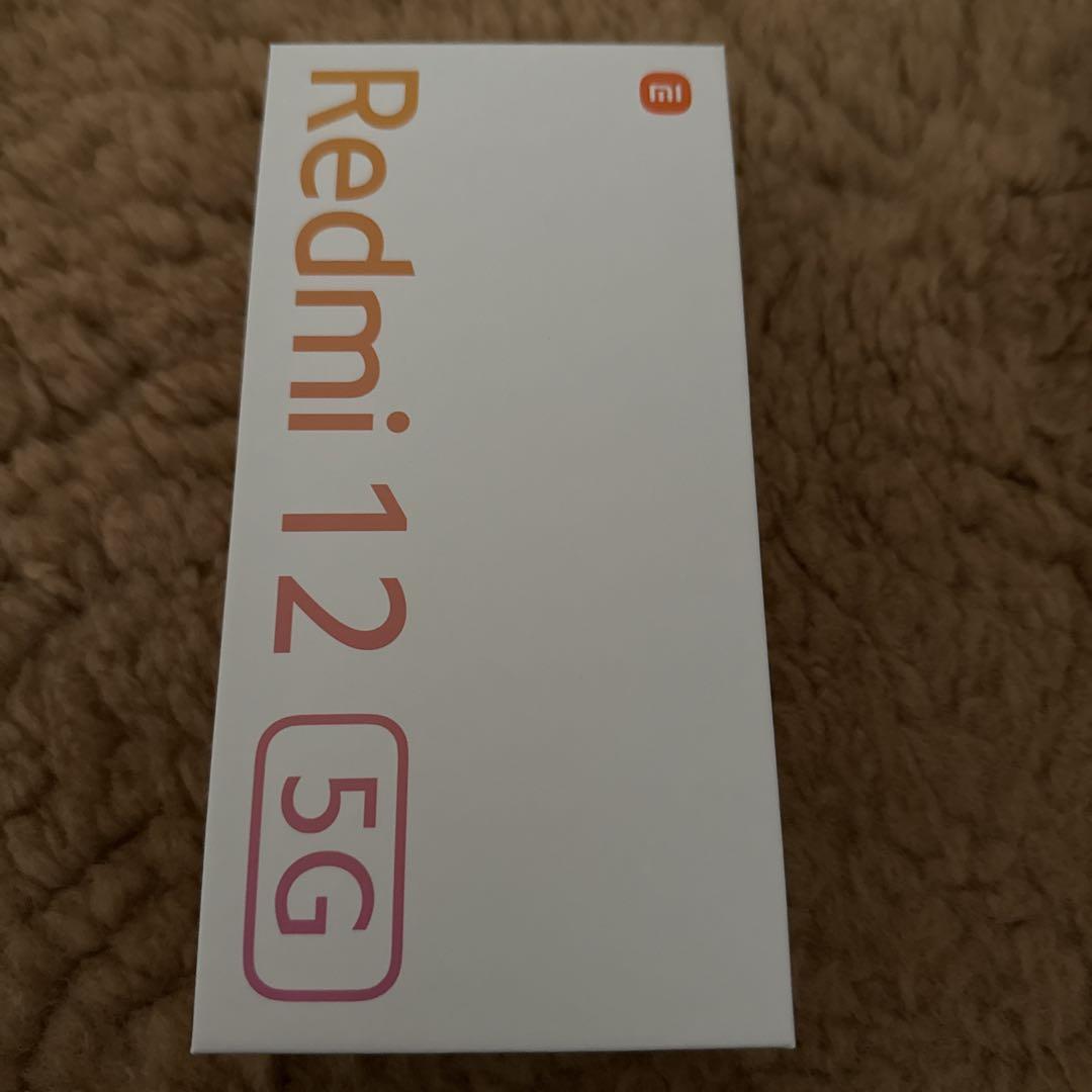 Xiaomi Redmi 12 5G ポーラーシルバー