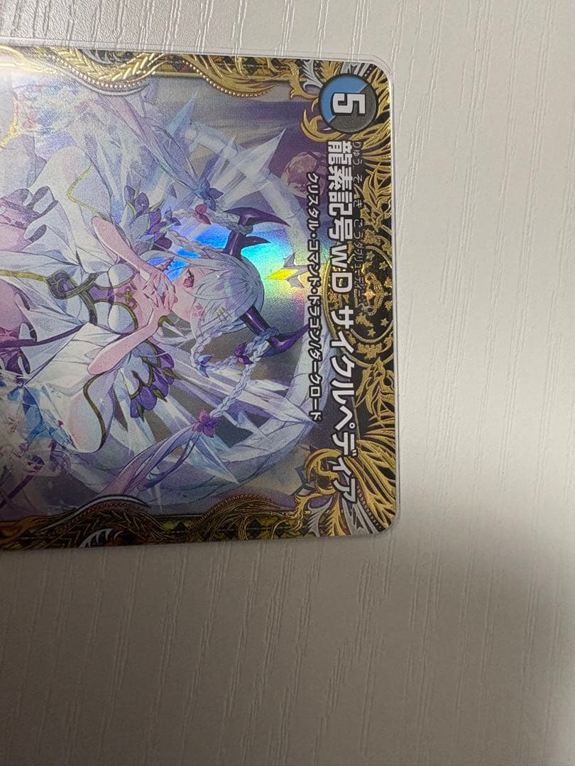 げ目立った傷や汚れなし