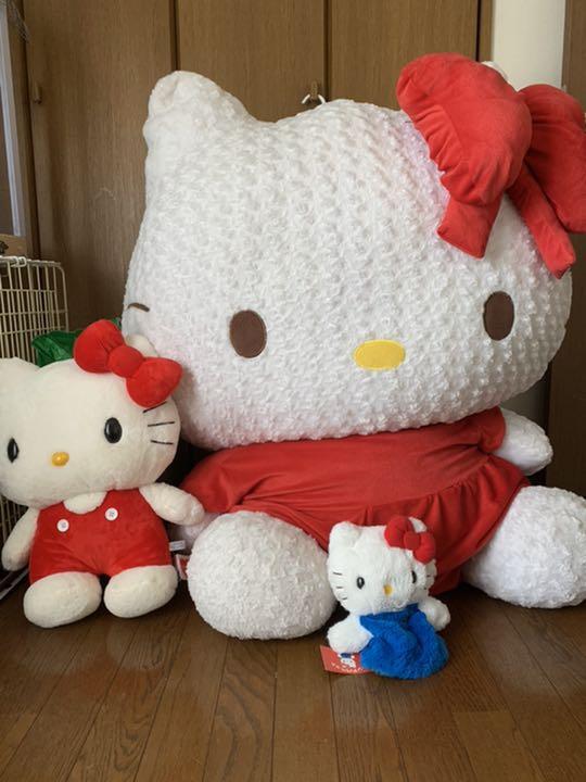 直接取りに来れる方限定 特大キティちゃんぬいぐるみ Rrycd-m80227585147 最安価格