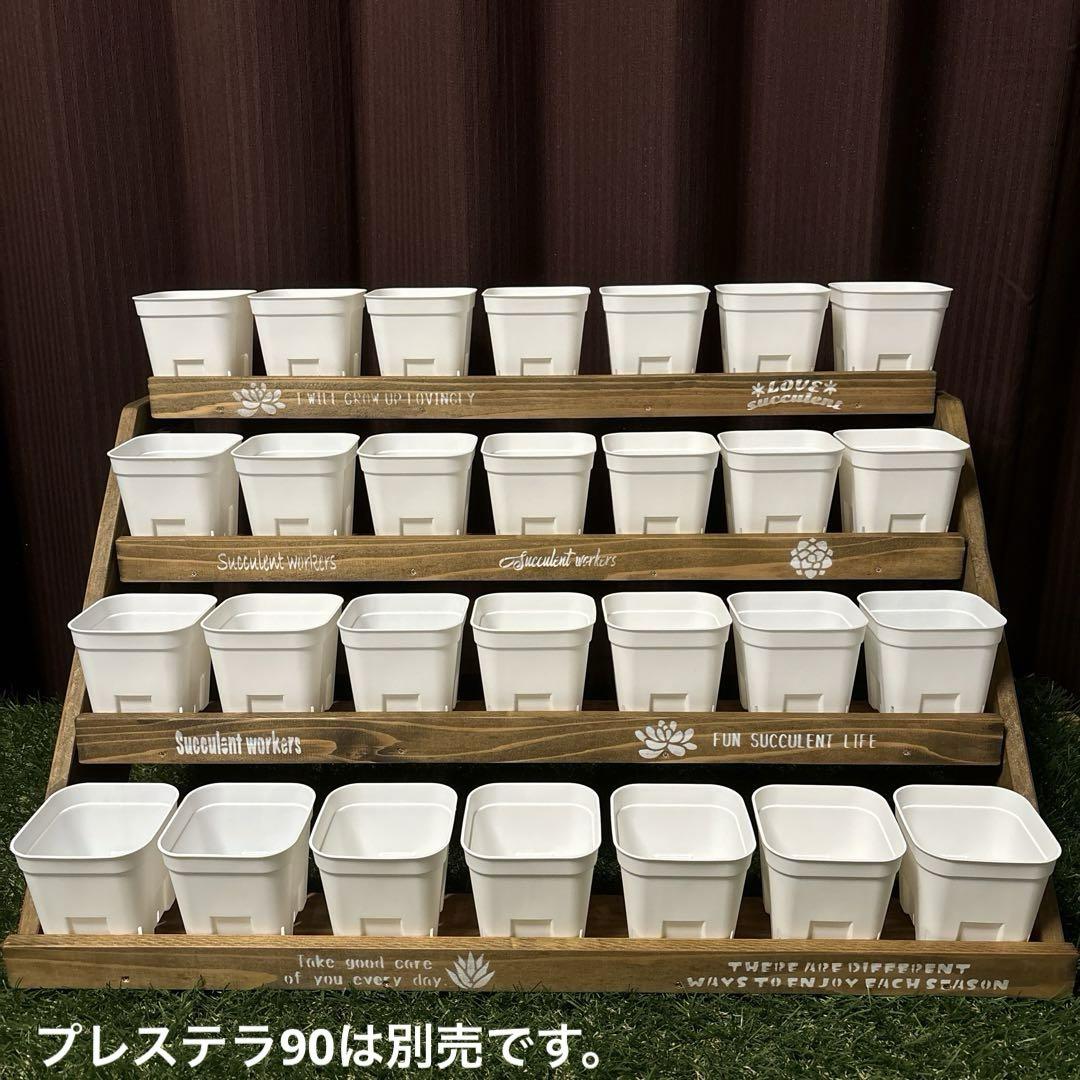 【保証書付】 多肉植物棚 ウッドプランター多肉植物 F91 花台 収納棚 整理棚 その他
