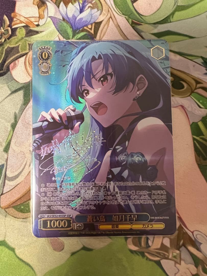 ヴァイスシュバルツ 蒼い鳥