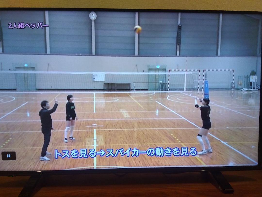 バレーボール DVD アイワーク
