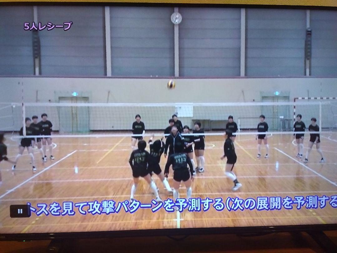 バレーボール DVD アイワーク