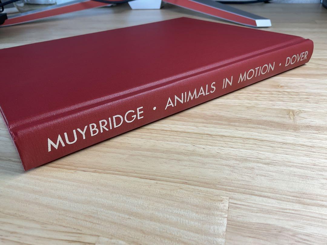Amazon | Animals in Motion (Dover Anatomy for Artists