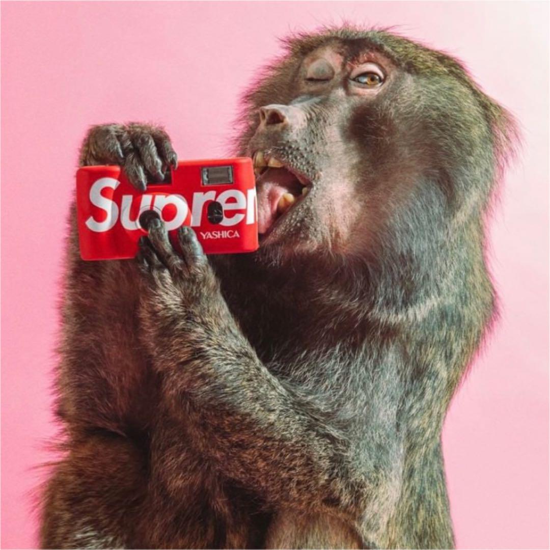 Supreme Yashica MF-1 Camera シュプリーム カメラ