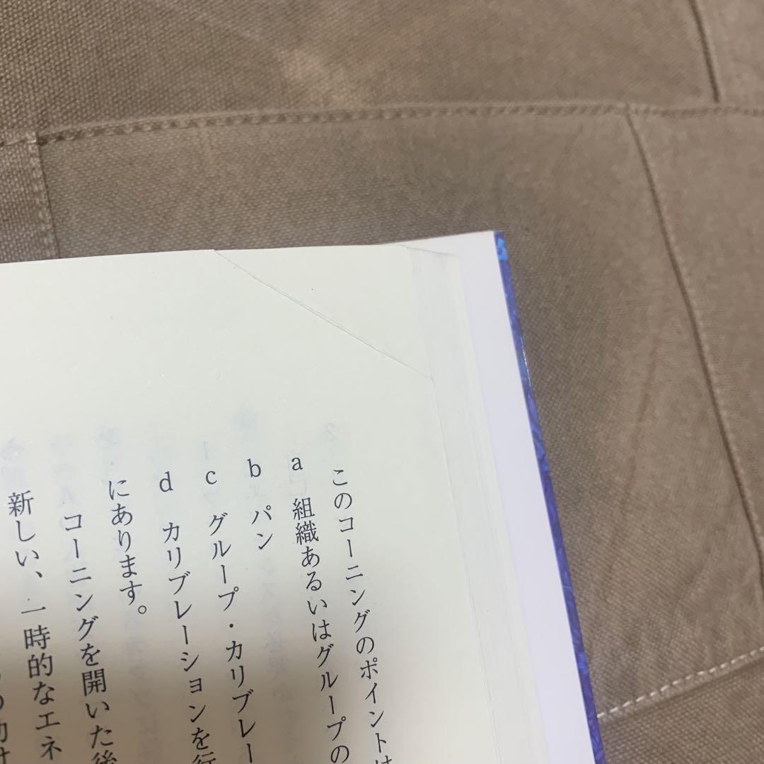 【希少！】聖なる癒し 高次元存在との\"共同創造\"による21世紀のヒーリング