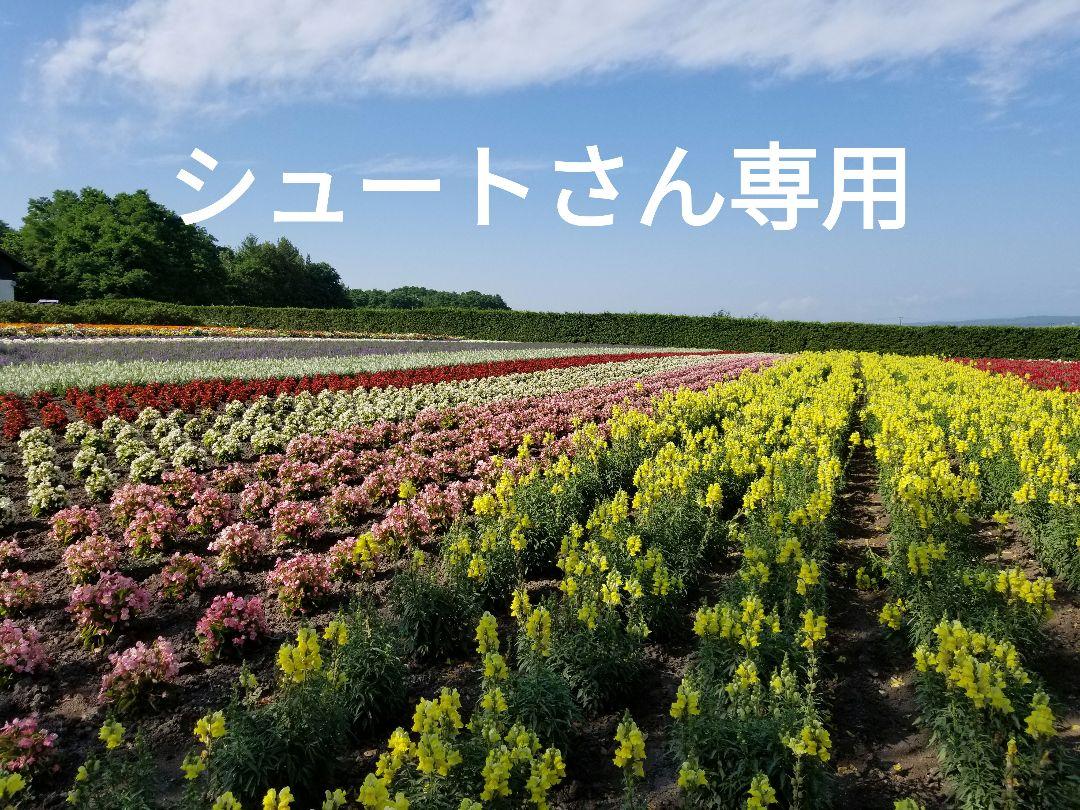 【シュートさん専用】アンパンマン　おしゃべりウォーカー　歩行器