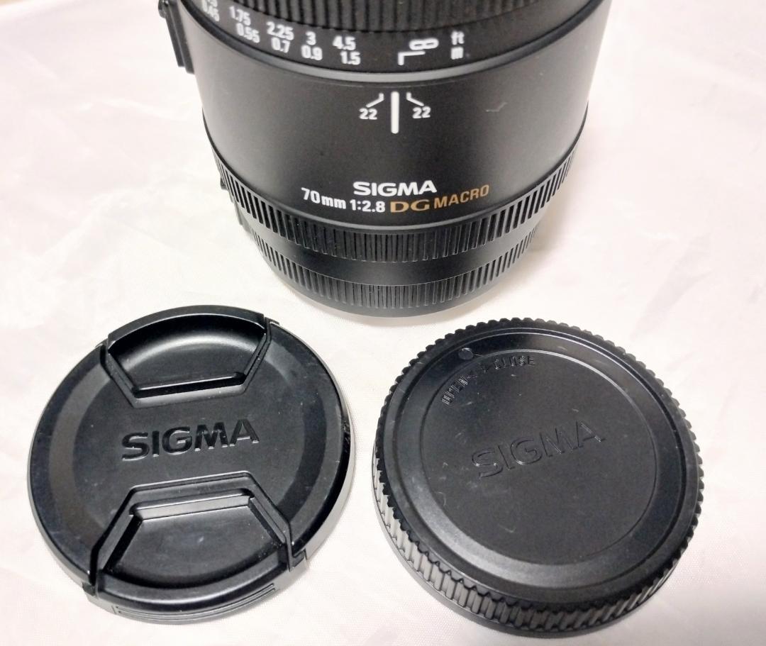 カミソリマクロSIGMA MACRO EX DG 70mmF2.8 SAマウント