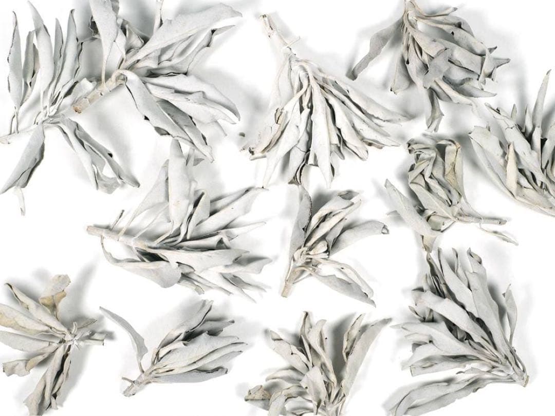 800g 浄化 邪気祓い カリフォルニア産ホワイトセージ枝付き新品、♥ MERCADOAVALIA_COM_BR