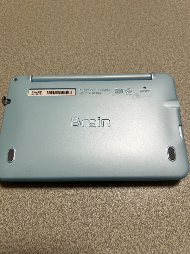 Brain