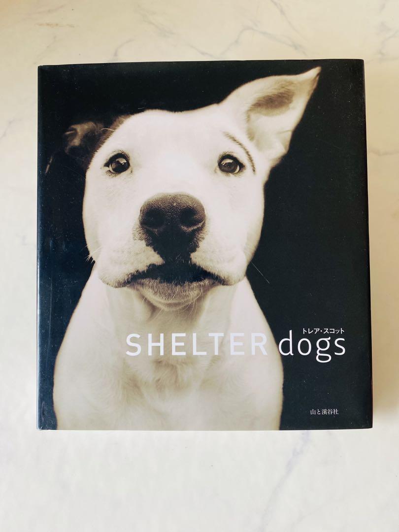 新品未読　シェルタードッグズ