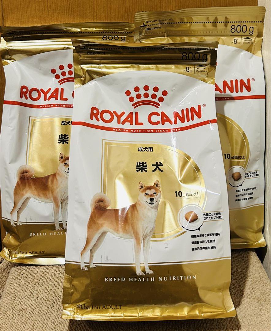800g×3個 ロイヤルカナン 柴犬 成犬用 ドッグフード 生後10カ月齢以上