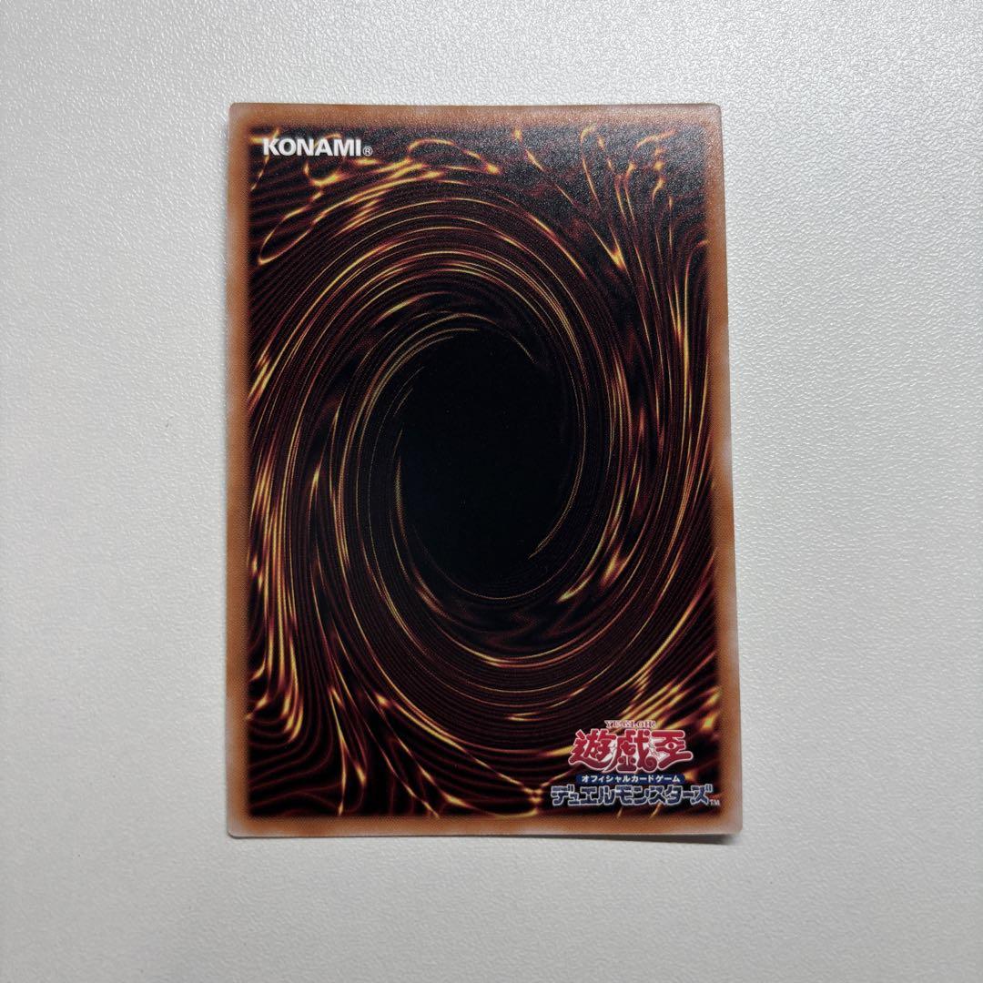 レッドアイズ・ブラック・ドラゴン25thシークレットレア (遊戯王OCG)