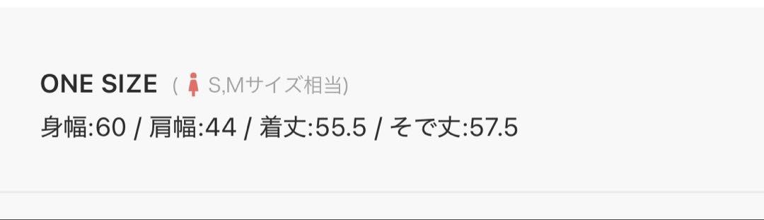 framework チャンピオンスウェット