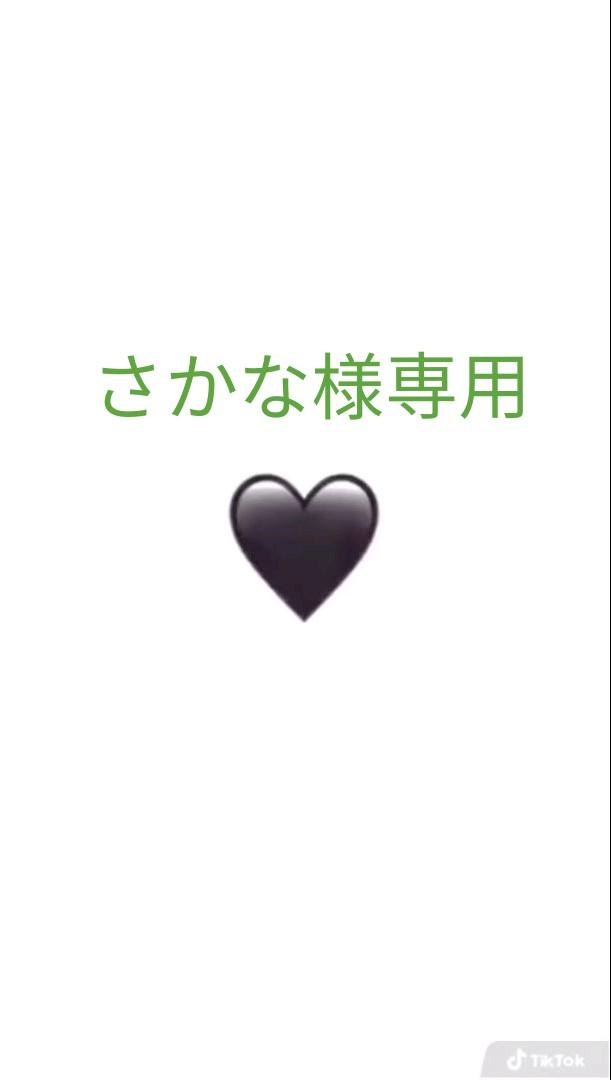 さかな様専用ページ さかな様専用ページ