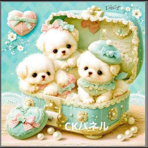 【21】CK様レアパネル生地 マルチーズ 【21】CK様レアパネル生地 マルチーズ