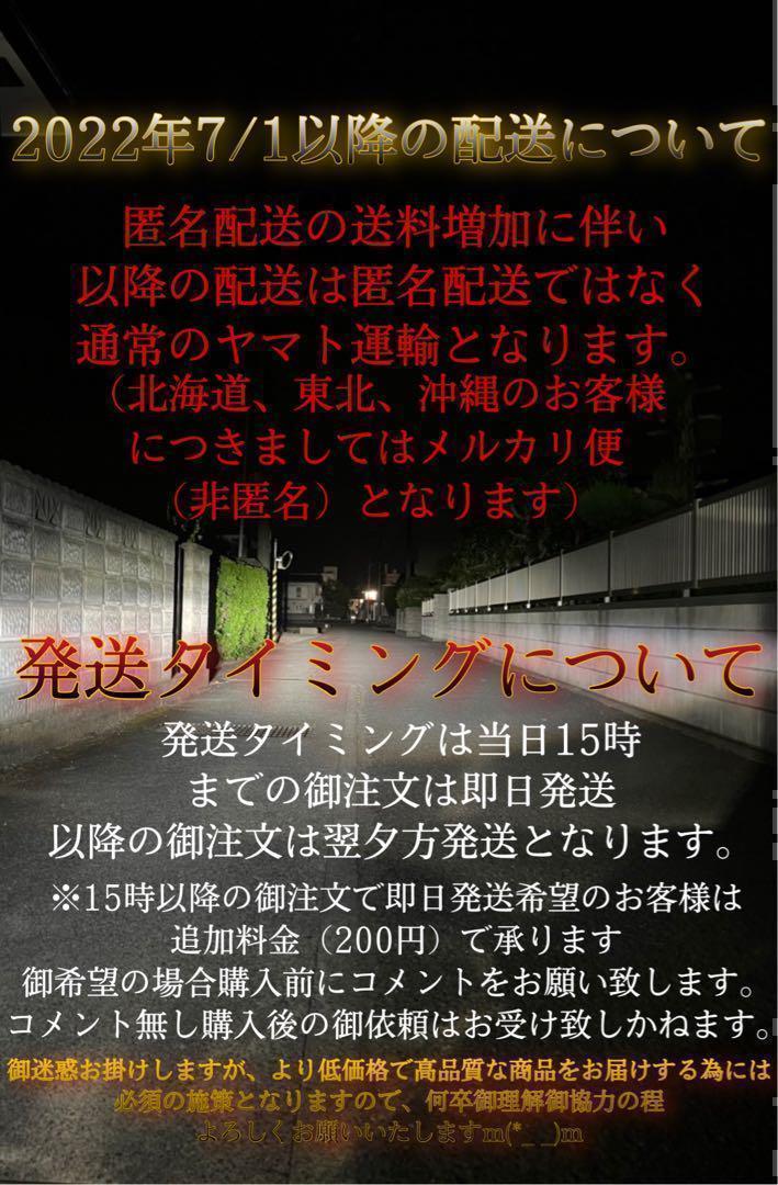 D2S D2R ヘッドライト 最新爆光LED D2C ポン付け可能 M30 99