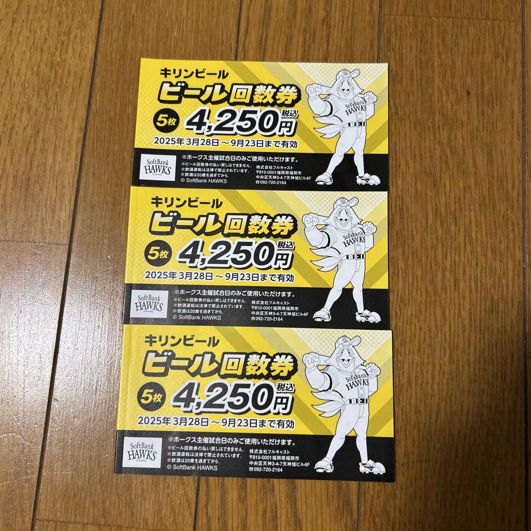 ソフトバンクホークス PayPayドーム キリンビール回数券 15杯売り子