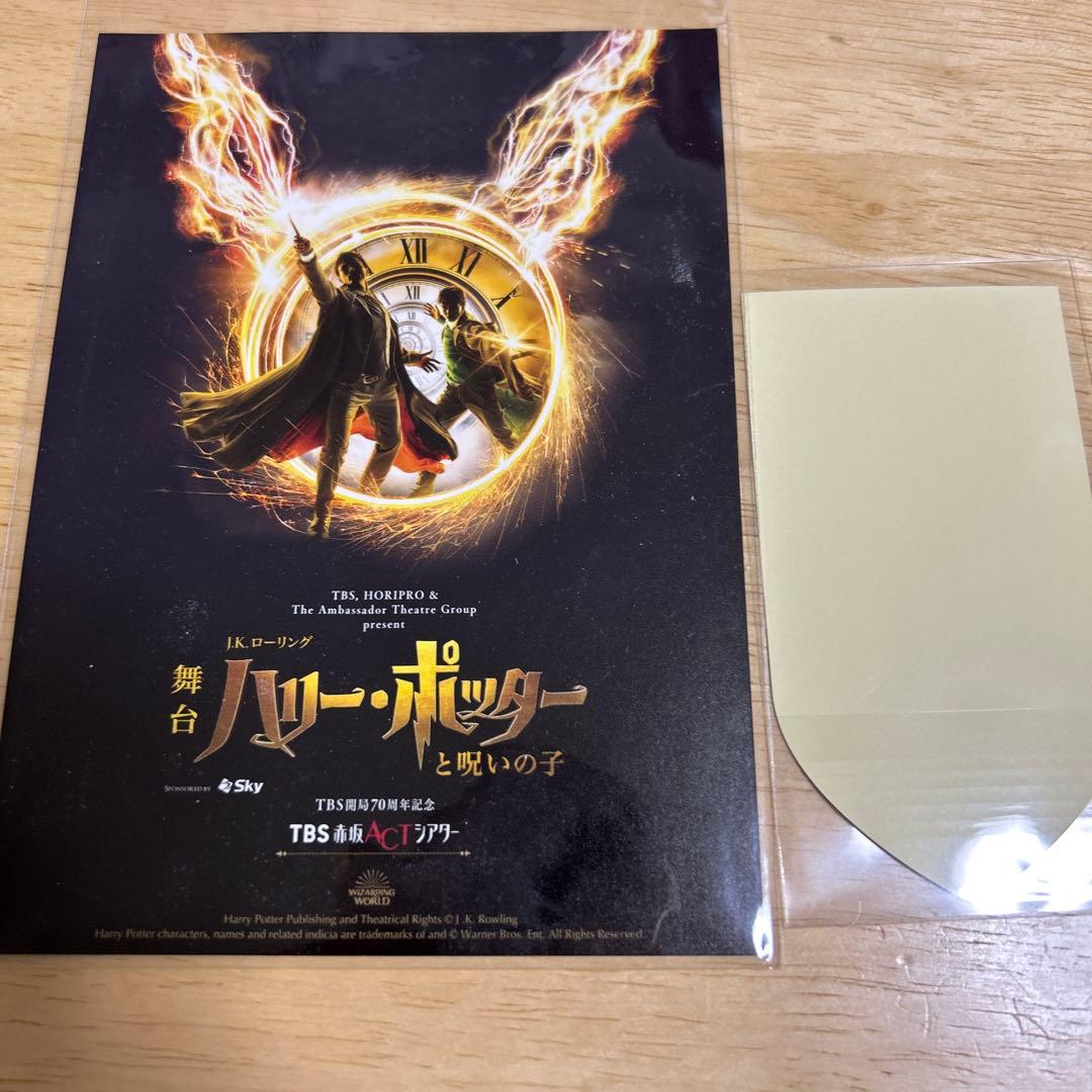 シルバーグレー サイズ 【非売品】舞台ハリーポッター 向井理 馬渕