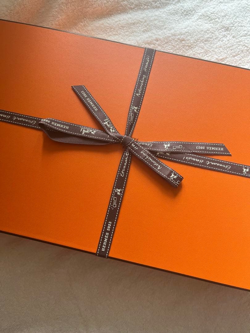 最終価格❣️エルメス2023春夏新作フーデッド・パーカ レザーパッチ