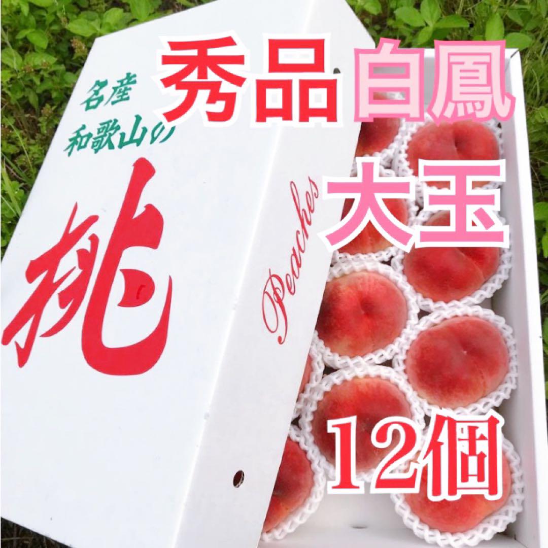 暁星 桃 摘果桃　10kg 暁星 桃 加工用 10kg 摘果桃 - メルカリ