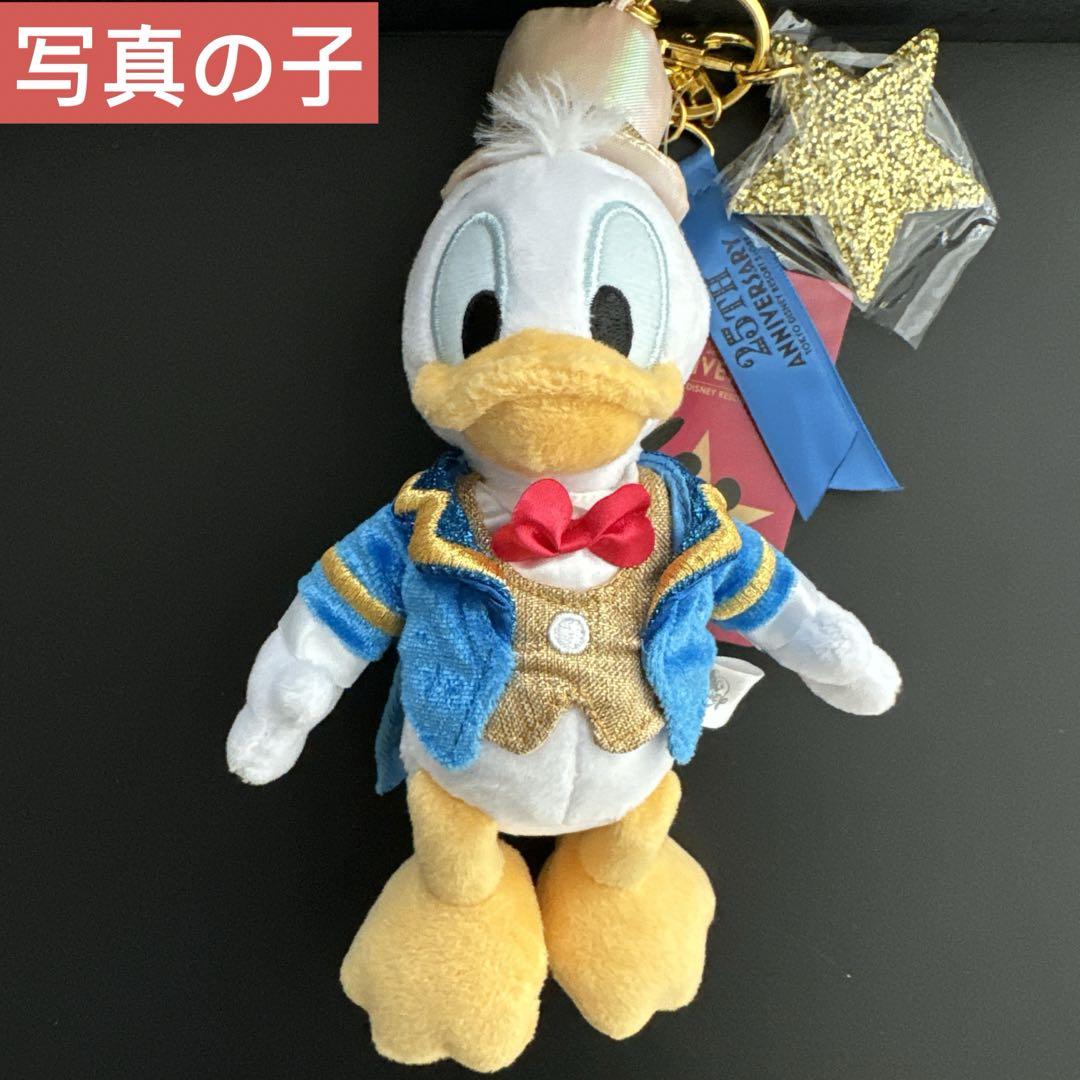 ドナルド ぬいぐるみキーホルダー・キーチェーン 東京ディズニー
