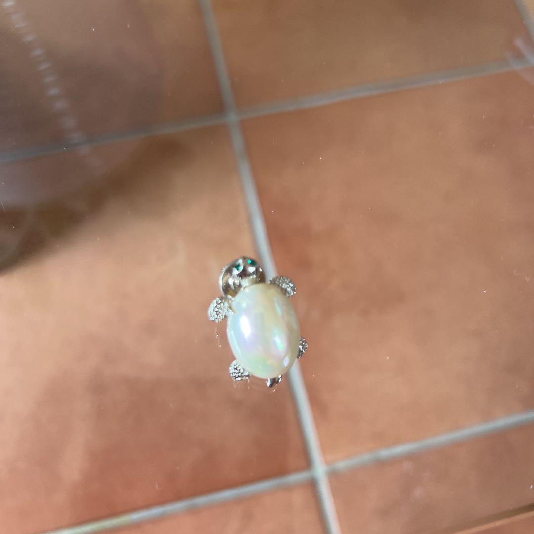 ぶろちー