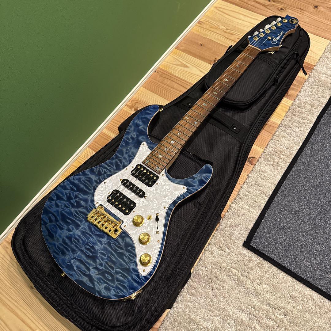 Freedom custom guitar research hydraギター