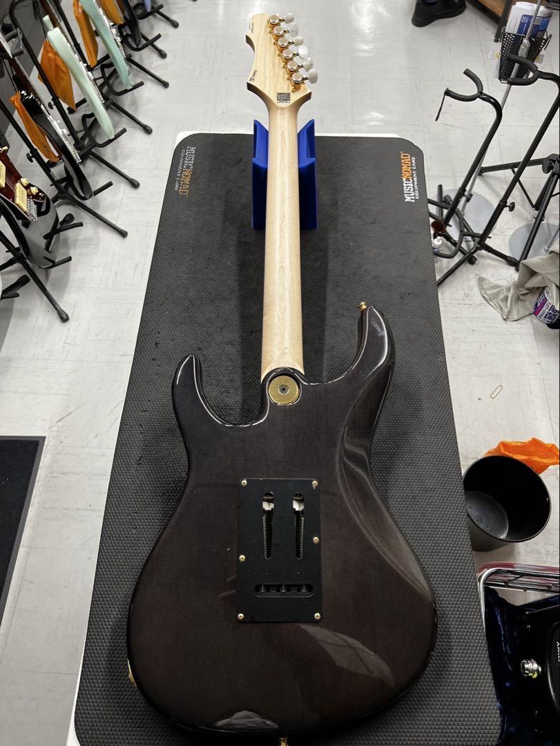 Freedom custom guitar research hydra