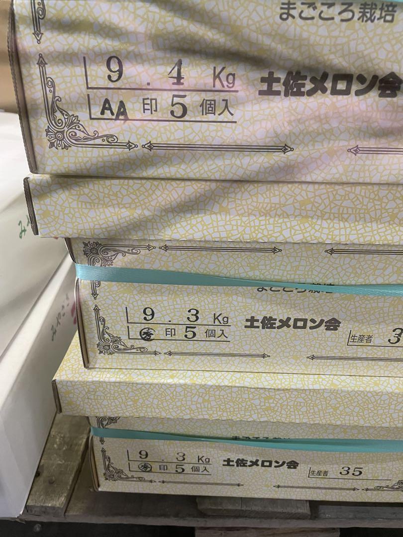高知産アールスメロン 5個入り 9.4kg〜