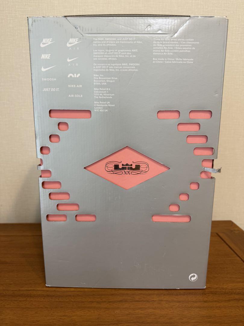 NIKE LEBRON20 ナイキ レブロン20